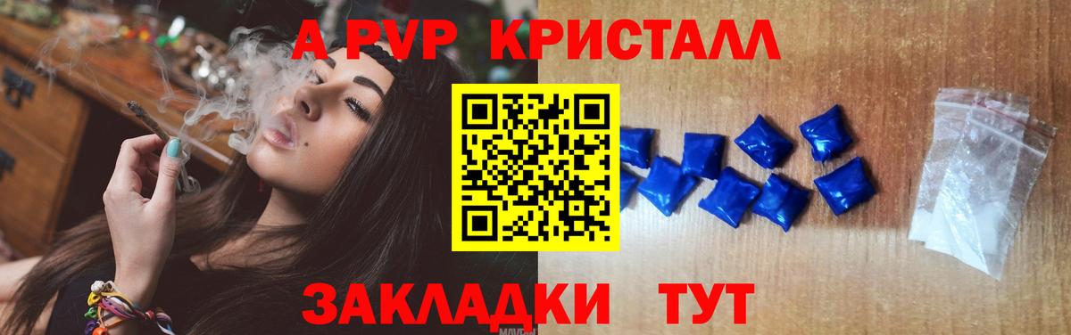 Alfa_PVP СК Саратов