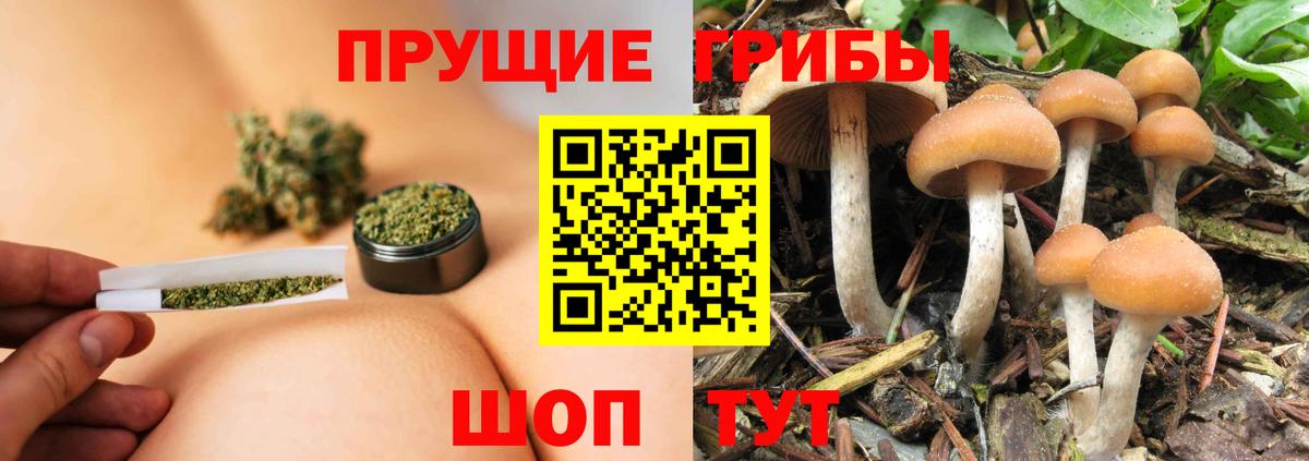Псилоцибиновые грибы прущие грибы Саратов